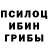 Псилоцибиновые грибы GOLDEN TEACHER Armen Mirzoian