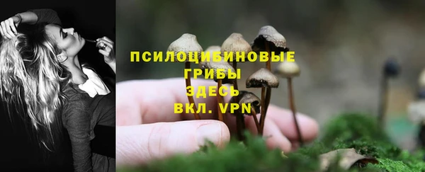 стаф Абинск
