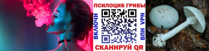 Псилоцибиновые грибы Cubensis  Нижнекамск 