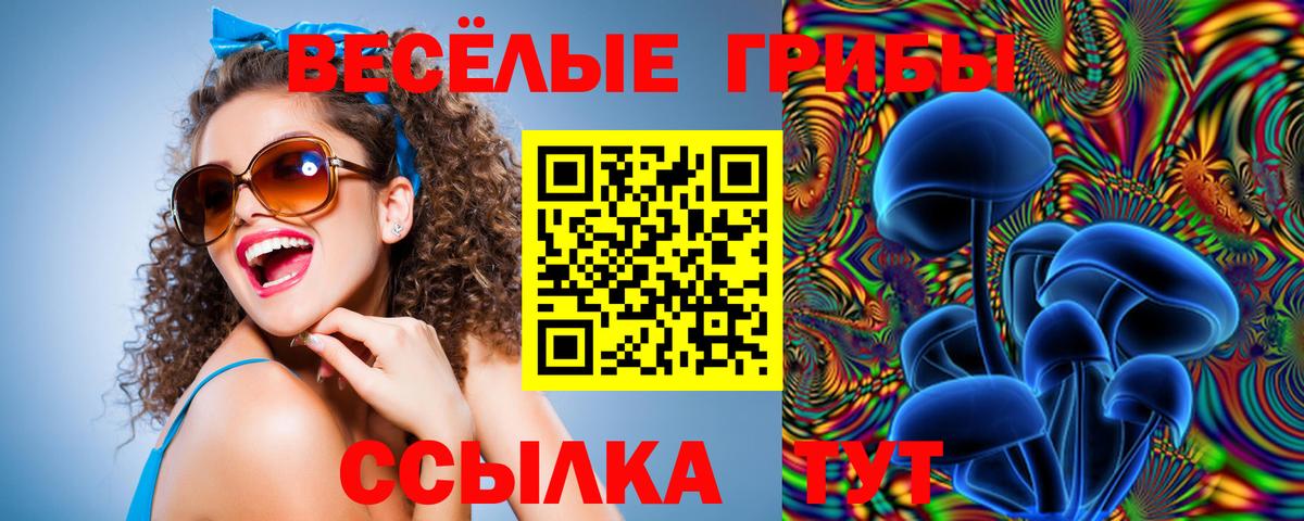 цены   Вход с VPN  Нижнекамск  Галлюциногенные грибы Cubensis 