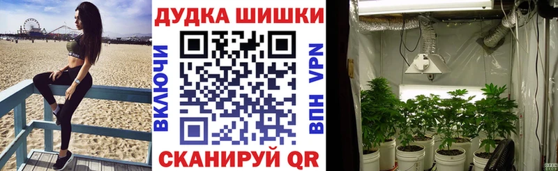 Шишки марихуана Bruce Banner  Нижнекамск 